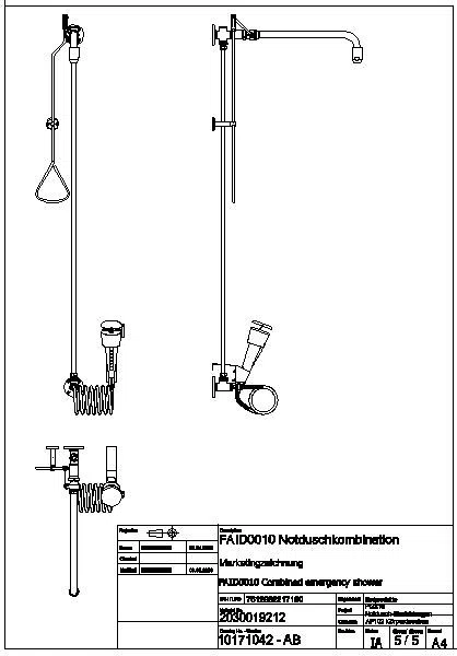 Notduschkombination, Zugstange, Augendusche, grün, Wasser aus Decke, FAID0010