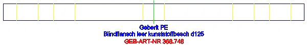 GE PE Blindflansch d125_368.748.00.1_L