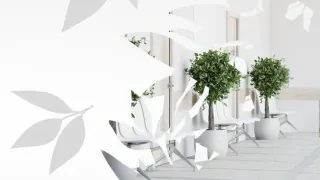 CASUBLANCA -  Wandfarben für Innenwände CASUBLANCA -  Wandfarben für Innenwände