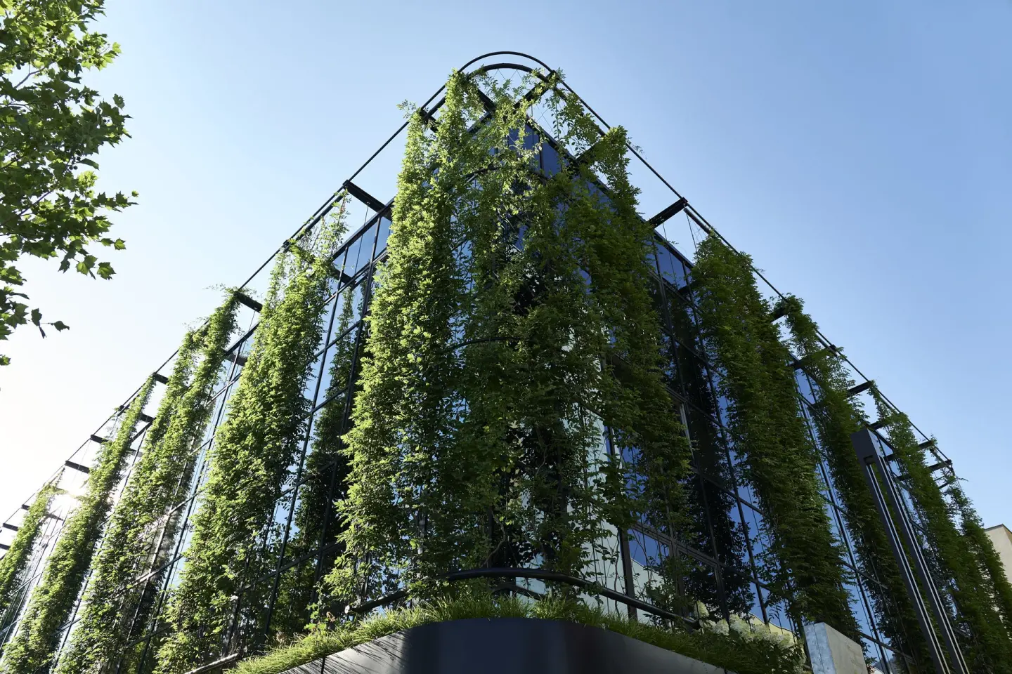 Jakob GreenSolutions - Rankstrukturen für die Begrünung Jakob GreenSolutions - Rankstrukturen für die Begrünung