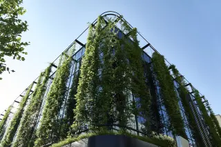 Jakob GreenSolutions - Rankstrukturen für die Begrünung Jakob GreenSolutions - Rankstrukturen für die Begrünung