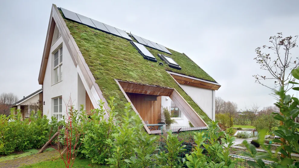 Irgendwie spielerisch und geschickt geplant ist dieses begrünte Dach vom First bis zum Boden, dass sich über der Terrasse hin zum Garten öffnet. Begrünte Dächer sind im Trend, nachhaltig und energietechnisch richtungsweisend. Irgendwie spielerisch und geschickt geplant ist dieses begrünte Dach vom First bis zum Boden, dass sich über der Terrasse hin zum Garten öffnet. Begrünte Dächer sind im Trend, nachhaltig und energietechnisch richtungsweisend.