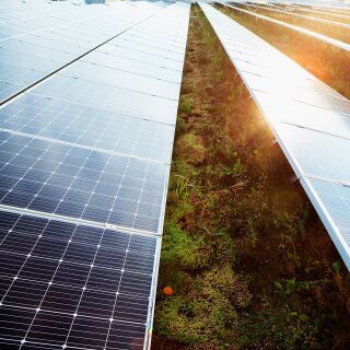 Systeme für Abdichtung, Dämmung, Begrünung, Energieintegration von Flachdächern