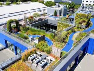 Flachdachlösungen für klimaresiliente Städte Flachdachlösungen für klimaresiliente Städte