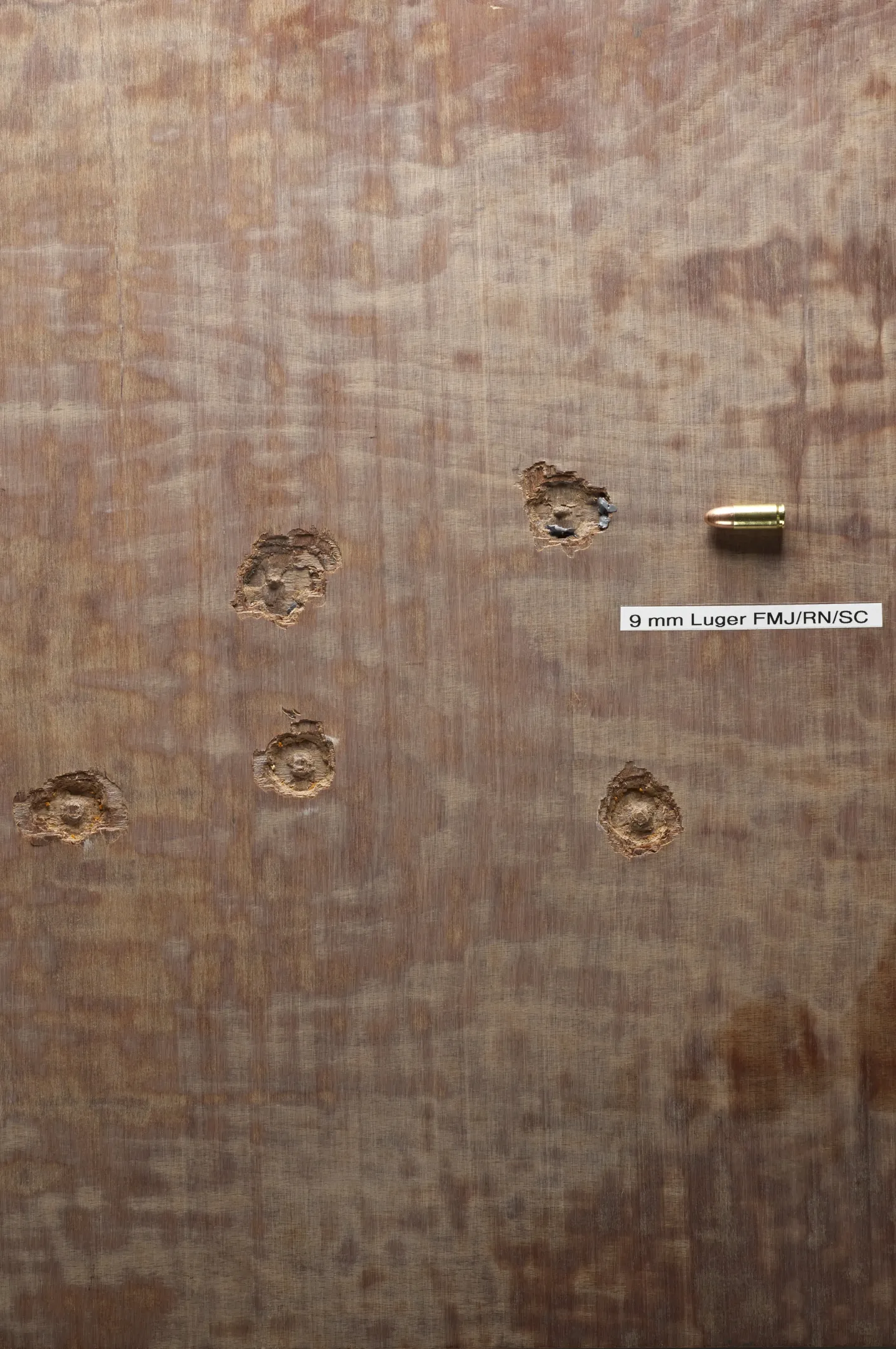 Delignit® Panzerholz Protect - Holzwerkstoff f. sicherheitsrelevante Anwendungen Delignit® Panzerholz Protect - Holzwerkstoff f. sicherheitsrelevante Anwendungen