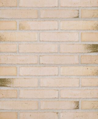 Randers Tegl - RT 103 Prima Bologna, DK-NF Wasserstrichziegel gelb (GTIN: 7340035818762, HAN: 51030000)