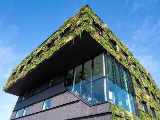 Die nachhaltigste Hochschule in den Niederlanden