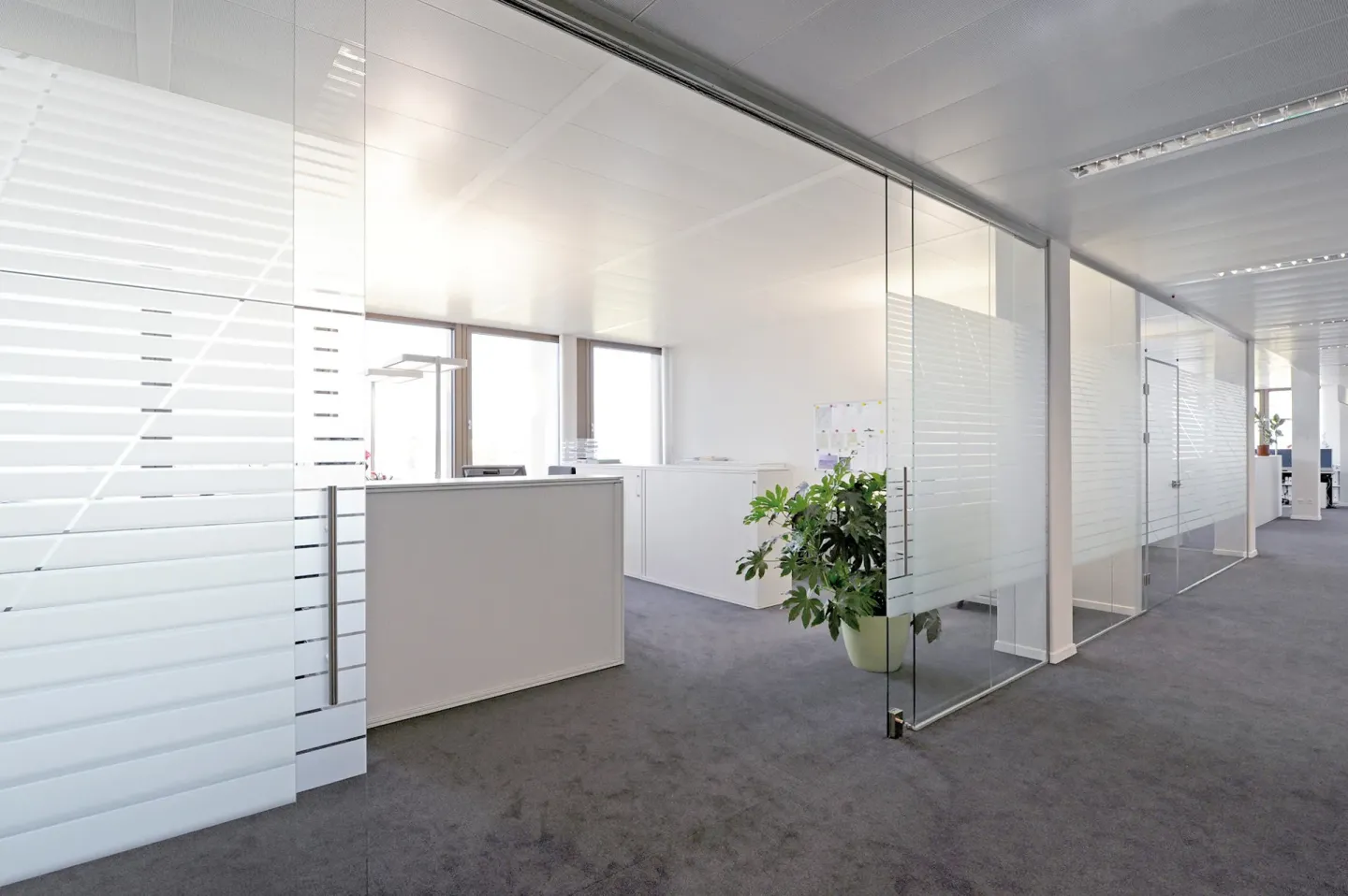 GM Schiebetürsysteme: Glas-Türen für Innenbereiche GM Schiebetürsysteme: Glas-Türen für Innenbereiche