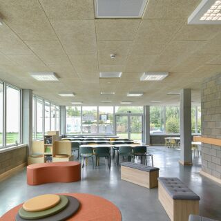 Holzwolleplatten Akustik & Design