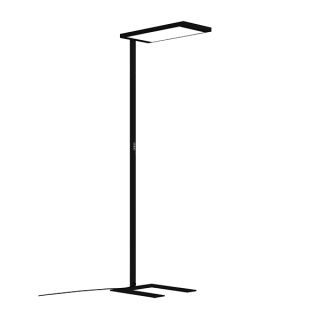 Waldmann Stehleuchte LAVIGO.single DPS Waldmann - Waldmann Stehleuchte LAVIGO.single DPS