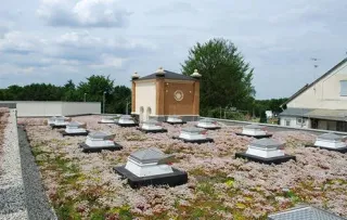 Funktionsbegrünung für das Retentionsdach Funktionsbegrünung für das Retentionsdach