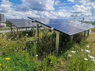 Ein Optigrün Solargründach auf dem neuen Gebäude der TU Berlin.