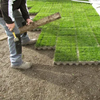 TTE®-GRÜN - unversiegelt, grün und nachhaltig TTE®-GRÜN - unversiegelt, grün und nachhaltig