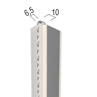 Protektorwerk Anputzdichtleiste mit Schattenfuge, Membran Protektorwerk Florenz Maisch - Protektorwerk Anputzdichtleiste mit Schattenfuge, Membran