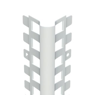 Protektorwerk Kantenprofil Innen- und Außenputz, runder Kopf Protektorwerk Florenz Maisch - Protektorwerk Kantenprofil Innen- und Außenputz, runder Kopf