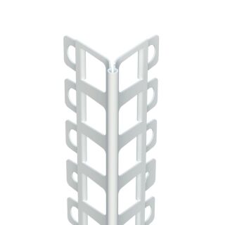 Protektorwerk Kantenprofil Innen- und Außenputz, runder Kopf Protektorwerk Florenz Maisch - Protektorwerk Kantenprofil Innen- und Außenputz, runder Kopf