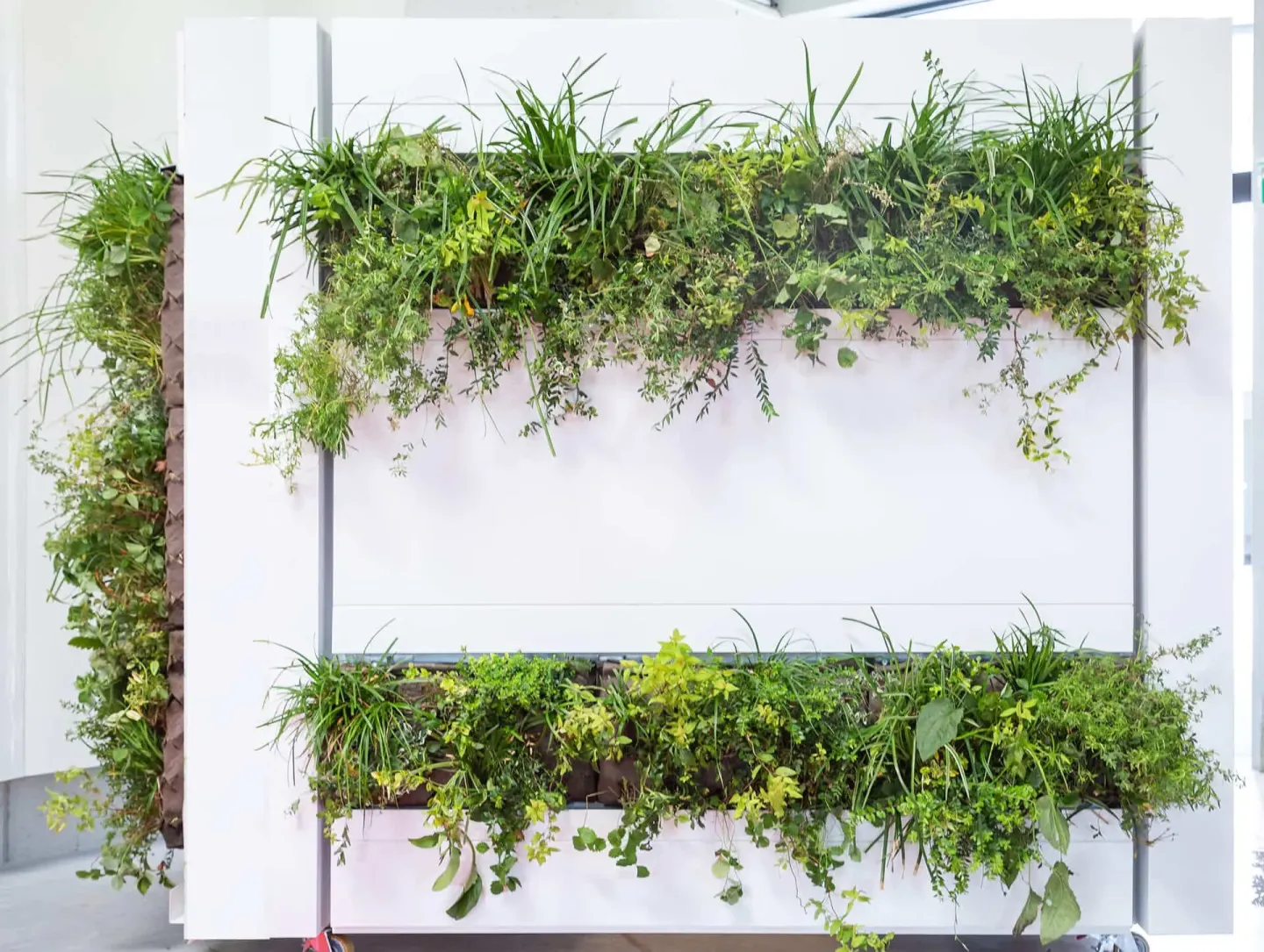 Planum®-LivingGreen Planum®-LivingGreen