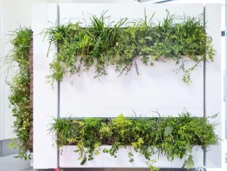 Planum®-LivingGreen Planum®-LivingGreen