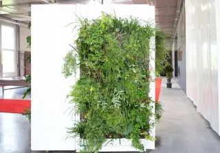 Planum®-LivingGreen Planum®-LivingGreen