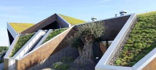 ZinCo Systemaufbau „Begrüntes Steildach bis 35°”