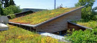 ZinCo Systemaufbau „Begrüntes Schrägdach bis 25°”