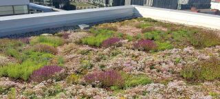 ZinCo Systemaufbau „Sponge City Roof“