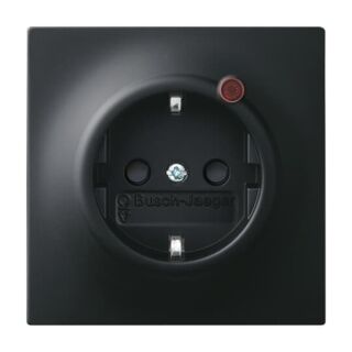 Busch-Jaeger Busch-Protector® SCHUKO® Steckdosen-Einsatz mit Überspannungsschutz Busch-Jaeger - Busch-Jaeger Busch-Protector® SCHUKO® Steckdosen-Einsatz mit Überspannungsschutz