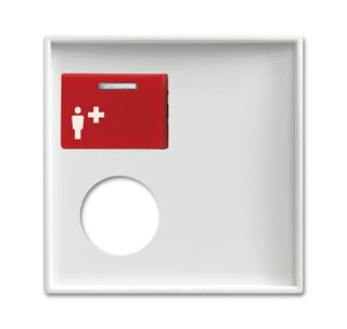 Busch-Jaeger Zentralscheibe Busch-Jaeger - Busch-Jaeger Zentralscheibe