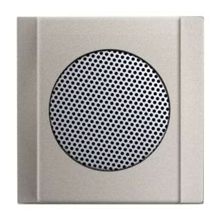 Busch-Jaeger Zentralscheibe Busch-Jaeger - Busch-Jaeger Zentralscheibe