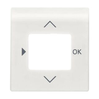 Busch-Jaeger Zentralscheibe Busch-Jaeger - Busch-Jaeger Zentralscheibe