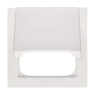 Busch-Jaeger Zentralscheibe Busch-Jaeger - Busch-Jaeger Zentralscheibe