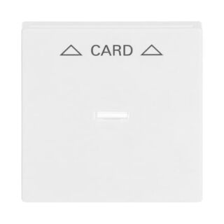 Busch-Jaeger Zentralscheibe Busch-Jaeger - Busch-Jaeger Zentralscheibe