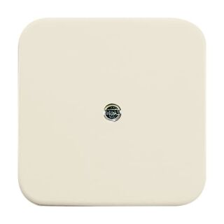 Busch-Jaeger Zentralscheibe Busch-Jaeger - Busch-Jaeger Zentralscheibe