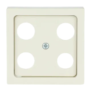 Busch-Jaeger Zentralscheibe Busch-Jaeger - Busch-Jaeger Zentralscheibe