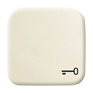 Busch-Jaeger Wippe mit Aufdruck mit Symbol "Schlüssel" Busch-Jaeger - Busch-Jaeger Wippe mit Aufdruck mit Symbol "Schlüssel"