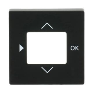 Busch-Jaeger Zentralscheibe Busch-Jaeger - Busch-Jaeger Zentralscheibe