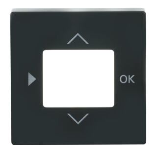 Busch-Jaeger Zentralscheibe Busch-Jaeger - Busch-Jaeger Zentralscheibe