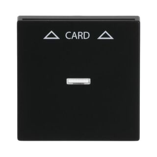 Busch-Jaeger Zentralscheibe Busch-Jaeger - Busch-Jaeger Zentralscheibe