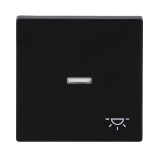 Busch-Jaeger Wippe mit Aufdruck mit kleiner transparenter Kalotte Busch-Jaeger - Busch-Jaeger Wippe mit Aufdruck mit kleiner transparenter Kalotte