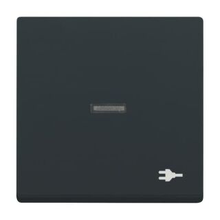 Busch-Jaeger Wippe mit Aufdruck mit kleiner transparenter Kalotte Busch-Jaeger - Busch-Jaeger Wippe mit Aufdruck mit kleiner transparenter Kalotte