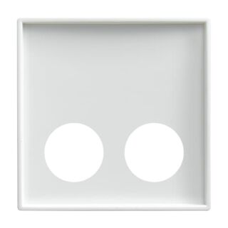 Busch-Jaeger Zentralscheibe Busch-Jaeger - Busch-Jaeger Zentralscheibe