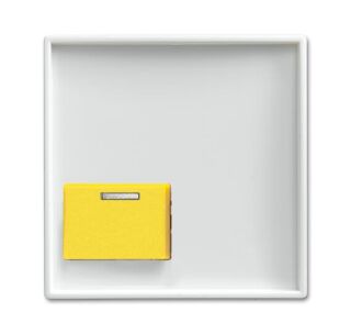 Busch-Jaeger Zentralscheibe Busch-Jaeger - Busch-Jaeger Zentralscheibe