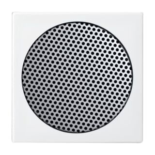 Busch-Jaeger Zentralscheibe Busch-Jaeger - Busch-Jaeger Zentralscheibe