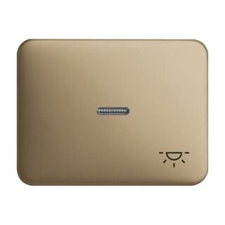 Busch-Jaeger Wippe mit Aufdruck mit kleiner transparenter Kalotte Busch-Jaeger - Busch-Jaeger Wippe mit Aufdruck mit kleiner transparenter Kalotte