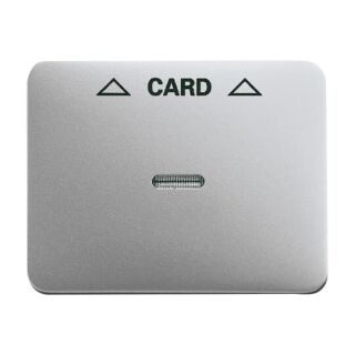 Busch-Jaeger Zentralscheibe Busch-Jaeger - Busch-Jaeger Zentralscheibe