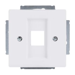 Busch-Jaeger Zentralscheibe Busch-Jaeger - Busch-Jaeger Zentralscheibe