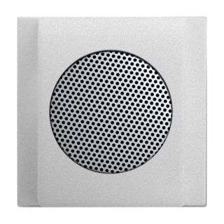 Busch-Jaeger Zentralscheibe Busch-Jaeger - Busch-Jaeger Zentralscheibe