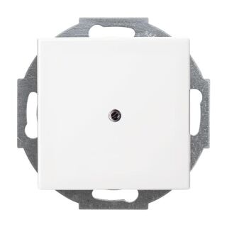 Busch-Jaeger Zentralscheibe Busch-Jaeger - Busch-Jaeger Zentralscheibe