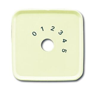 Busch-Jaeger Zentralscheibe Busch-Jaeger - Busch-Jaeger Zentralscheibe