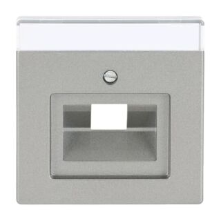 Busch-Jaeger Zentralscheibe Busch-Jaeger - Busch-Jaeger Zentralscheibe